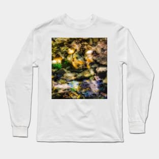 Creek Bed Long Sleeve T-Shirt